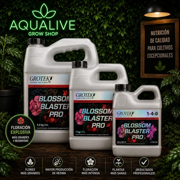 ISTecno Ingeniería