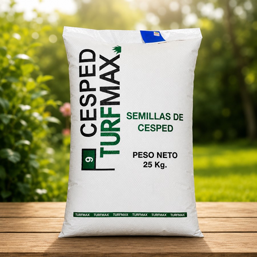 ISTecno Ingeniería